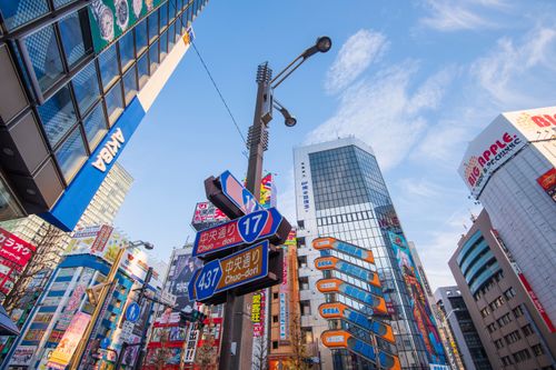 gallery_content_06